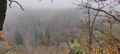 Beispielbild